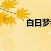 白日梦我（关于白日梦我介绍）