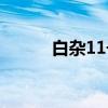 白杂11号（关于白杂11号介绍）