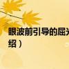 眼波前引导的屈光手术学（关于眼波前引导的屈光手术学介绍）