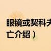 眼镜或契科夫的死亡（关于眼镜或契科夫的死亡介绍）