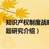 知识产权制度战略化问题研究（关于知识产权制度战略化问题研究介绍）
