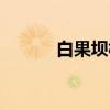 白果坝村（关于白果坝村介绍）