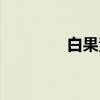 白果素（关于白果素介绍）
