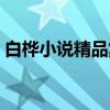 白桦小说精品集（关于白桦小说精品集介绍）