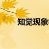 知觉现象学（关于知觉现象学介绍）