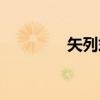 矢列式（关于矢列式介绍）