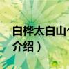 白桦太白山个体45（关于白桦太白山个体45介绍）