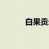 白果贡米（关于白果贡米介绍）