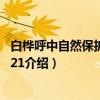 白桦呼中自然保护区个体21（关于白桦呼中自然保护区个体21介绍）