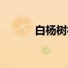 白杨树村（关于白杨树村介绍）