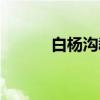 白杨沟群（关于白杨沟群介绍）