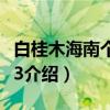 白桂木海南个体003（关于白桂木海南个体003介绍）