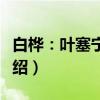 白桦：叶塞宁诗选（关于白桦：叶塞宁诗选介绍）