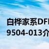 白桦家系DFH9504-013（关于白桦家系DFH9504-013介绍）