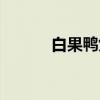 白果鸭煲（关于白果鸭煲介绍）