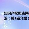 知识产权司法保护前沿：第1辑（关于知识产权司法保护前沿：第1辑介绍）