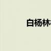 白杨林村（关于白杨林村介绍）