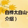 白桦太白山个体05（关于白桦太白山个体05介绍）