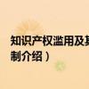 知识产权滥用及其法律规制（关于知识产权滥用及其法律规制介绍）