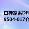 白桦家系DFH9504-017（关于白桦家系DFH9504-017介绍）