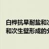 白桦抗旱耐盐和次生壁形成的分子机理（关于白桦抗旱耐盐和次生壁形成的分子机理介绍）