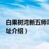 白果树湾新五师司令部旧址（关于白果树湾新五师司令部旧址介绍）