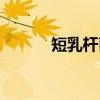 短乳杆菌（关于短乳杆菌介绍）