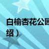 白榆杏花公园群体（关于白榆杏花公园群体介绍）