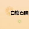 白榴石响岩（关于白榴石响岩介绍）