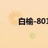 白榆-8012（关于白榆-8012介绍）