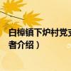 白樟镇下炉村党支部志愿者（关于白樟镇下炉村党支部志愿者介绍）