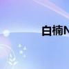 白楠NS（关于白楠NS介绍）
