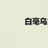 白毫乌龙（关于白毫乌龙介绍）