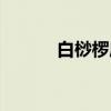 白桫椤属（关于白桫椤属介绍）