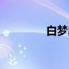 白梦鼐（关于白梦鼐介绍）
