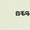白毛乌头（关于白毛乌头介绍）