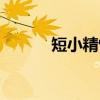 短小精悍（关于短小精悍介绍）