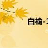 白榆-12(关于白榆-12介绍) 白榆-12(关于白榆-12介绍)