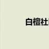 白檀社区（关于白檀社区介绍）