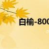 白榆-8001（关于白榆-8001介绍）