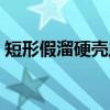 短形假溜硬壳虫（关于短形假溜硬壳虫介绍）