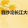 白沙沱长江大桥（关于白沙沱长江大桥介绍）