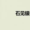 石见银山（关于石见银山介绍）
