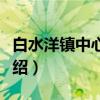 白水洋镇中心小学（关于白水洋镇中心小学介绍）