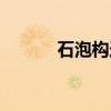 石泡构造（关于石泡构造介绍）