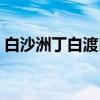 白沙洲丁白渡口（关于白沙洲丁白渡口介绍）