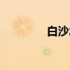 白沙水（关于白沙水介绍）