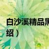 白沙溪精品黑砖茶（关于白沙溪精品黑砖茶介绍）