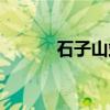 石子山站（关于石子山站介绍）