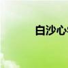 白沙心学（关于白沙心学介绍）